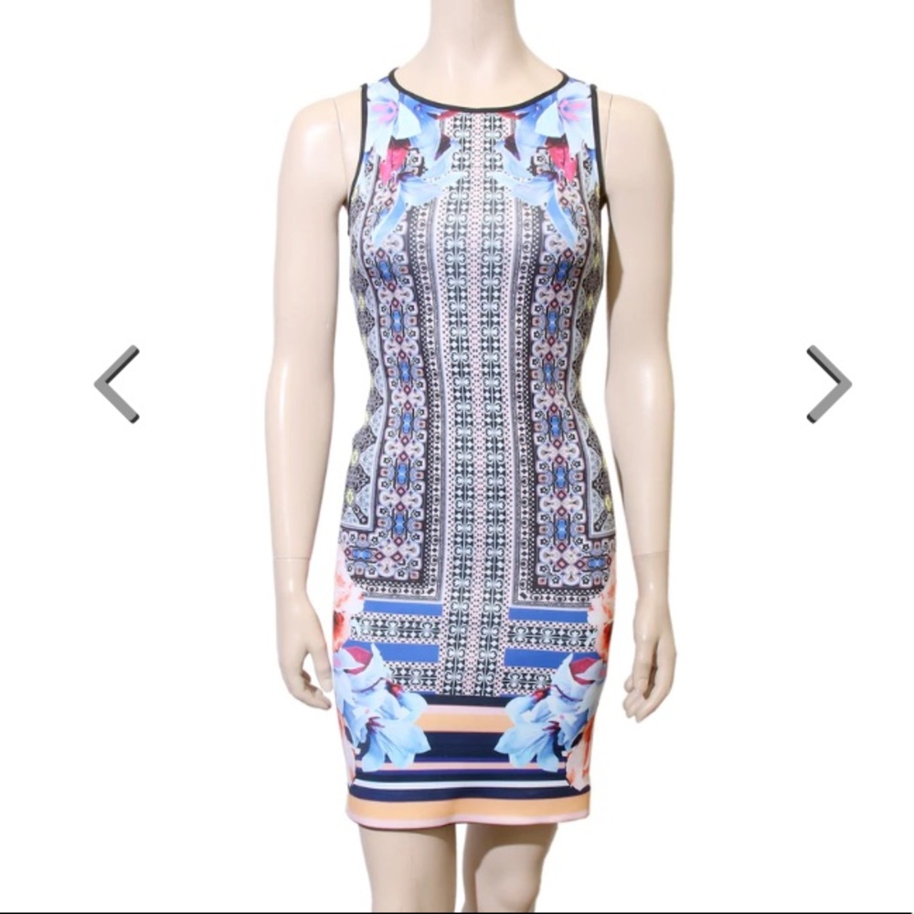 Clover canyon printed mini dress
